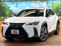 2018 Lexus Other