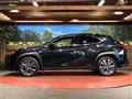 2019 Lexus Other