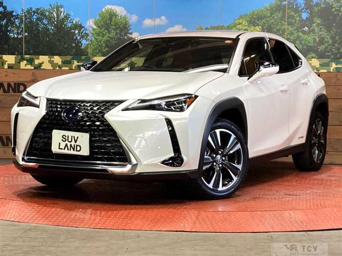 2019 Lexus Other