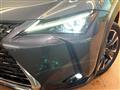 2023 Lexus Other