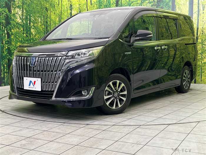 2017 Toyota Esquire