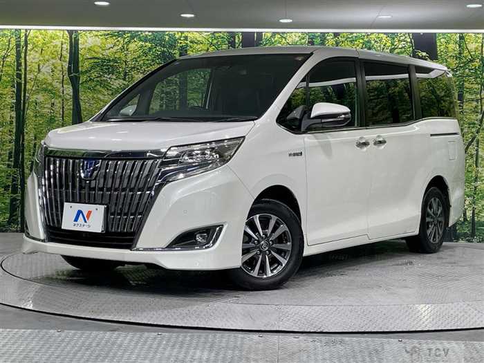 2019 Toyota Esquire