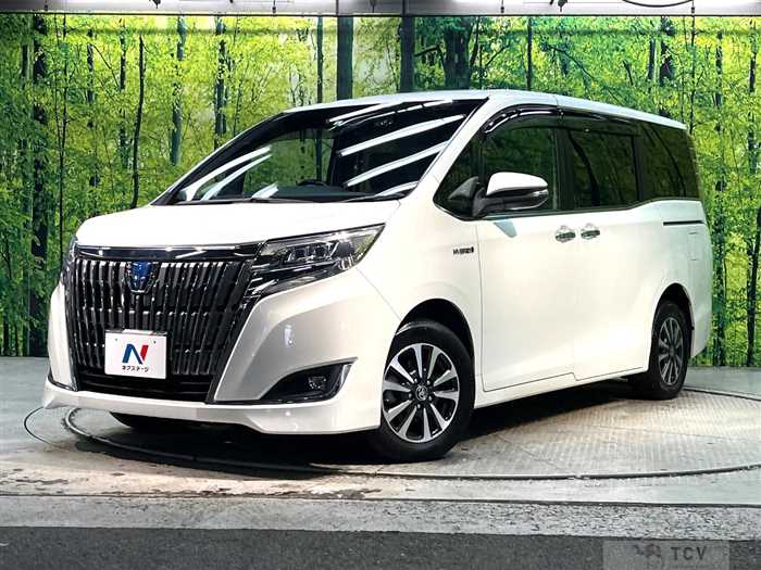 2019 Toyota Esquire