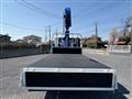 2010 Isuzu Isuzu Others