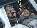 2006 Daihatsu Hijet Truck