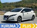 2017 Nissan Nissan Others