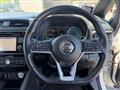 2017 Nissan Nissan Others