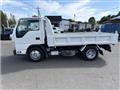 2010 Isuzu Isuzu Others