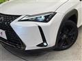 2021 Lexus Other
