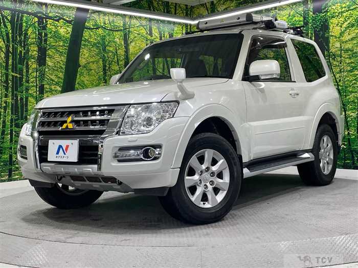2017 Mitsubishi Pajero