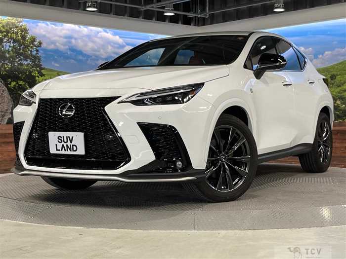 2023 Lexus NX