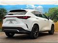 2024 Lexus NX