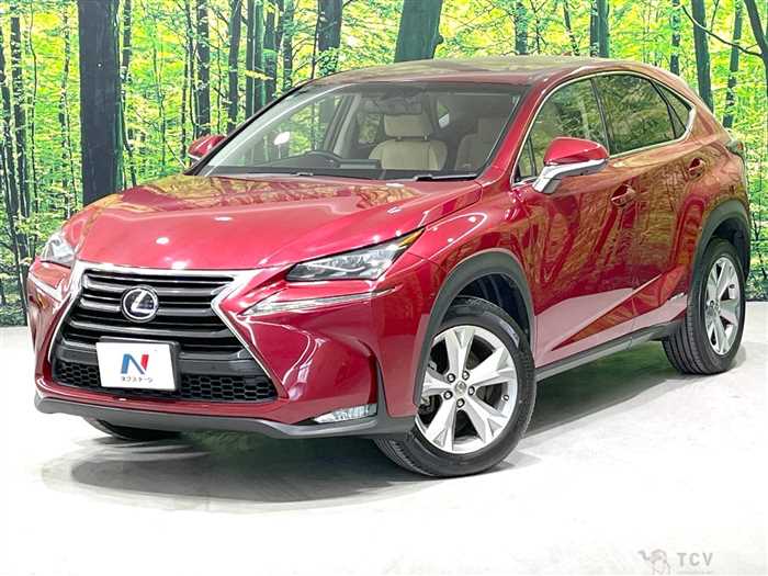 2015 Lexus NX
