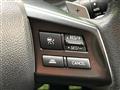2013 Subaru Subaru Others