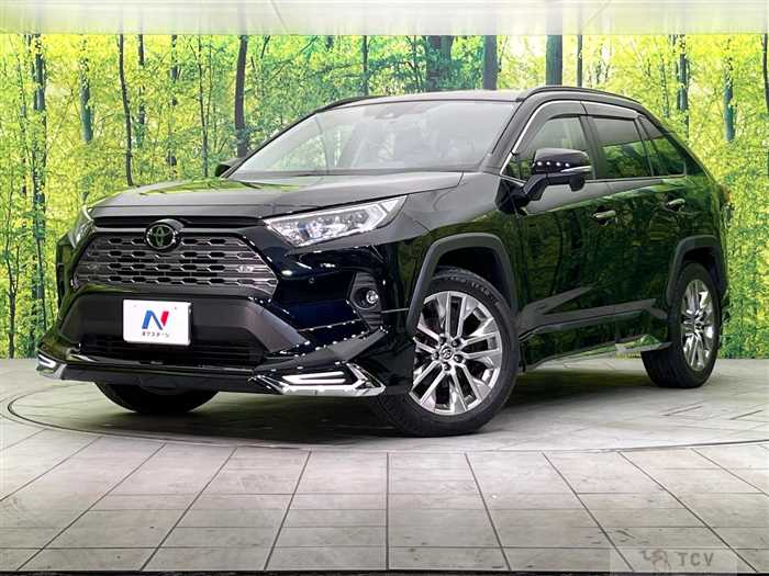 2020 Toyota RAV4