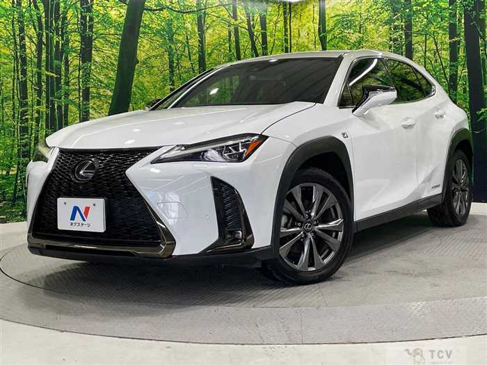 2019 Lexus Other