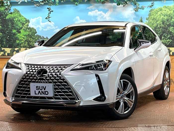 2023 Lexus Other