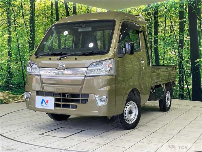 2020 Daihatsu Hijet Truck
