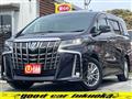 2020 Toyota Alphard G