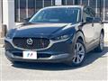 2021 Mazda Mazda Others