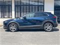 2021 Mazda Mazda Others