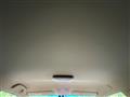 2013 Toyota Mark X