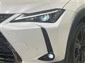 2021 Lexus Other