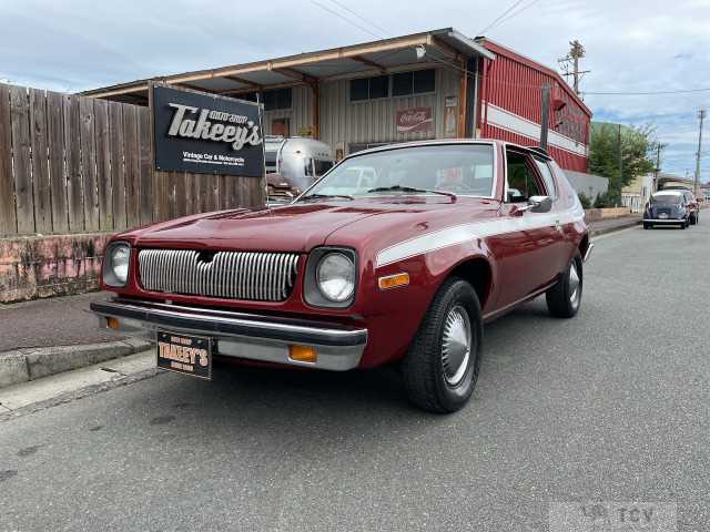 1977 AMC AMC Others