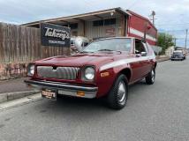 1977 AMC AMC Others