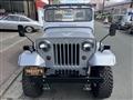 1982 Mitsubishi Jeep