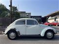 1969 Volkswagen Volkswagen Others