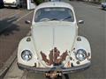 1969 Volkswagen Volkswagen Others