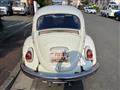 1969 Volkswagen Volkswagen Others