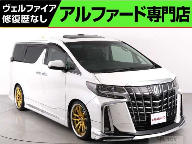 2019 Toyota Alphard G