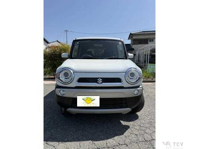 2016 Other All Other All