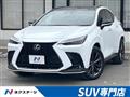 2024 Lexus NX