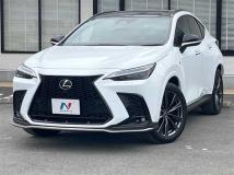 2024 Lexus NX