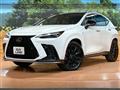 2025 Lexus NX