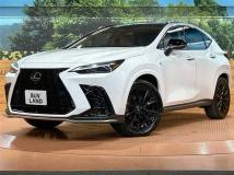 2025 Lexus NX