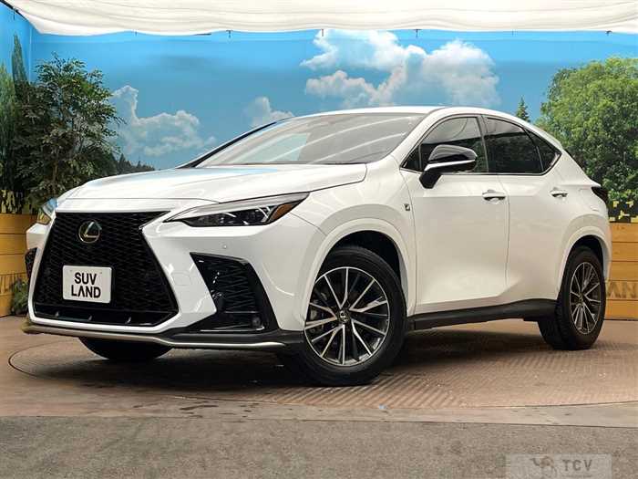2023 Lexus NX