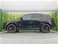 2021 Lexus NX