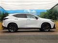 2025 Lexus NX