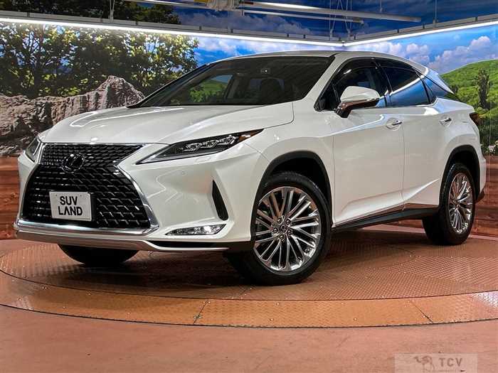 2020 Lexus RX
