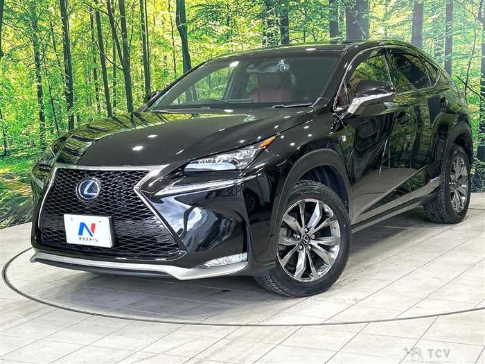 2015 Lexus NX