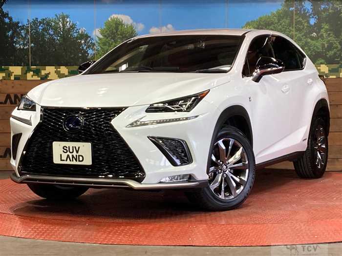 2019 Lexus NX