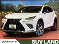 2019 Lexus NX