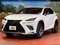 2019 Lexus NX