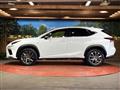 2019 Lexus NX