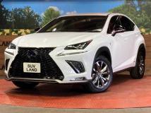 2019 Lexus NX