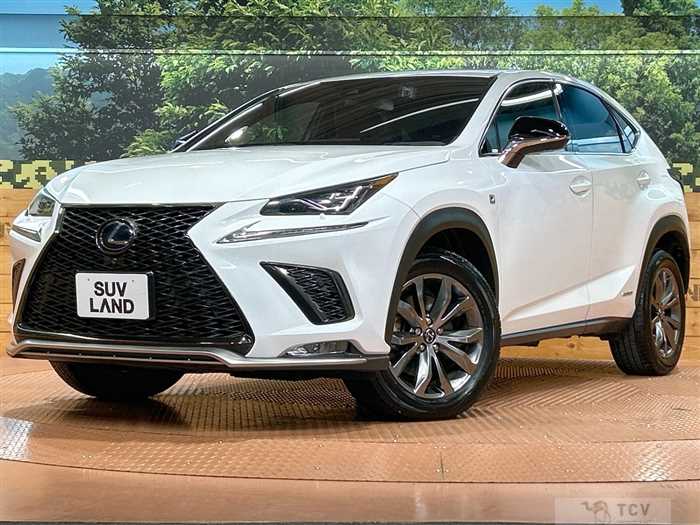 2020 Lexus NX